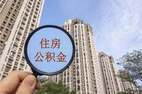 格尔木辞职多久公积金可以全部取出来吗（辞职之后公积金多长时间可以取）